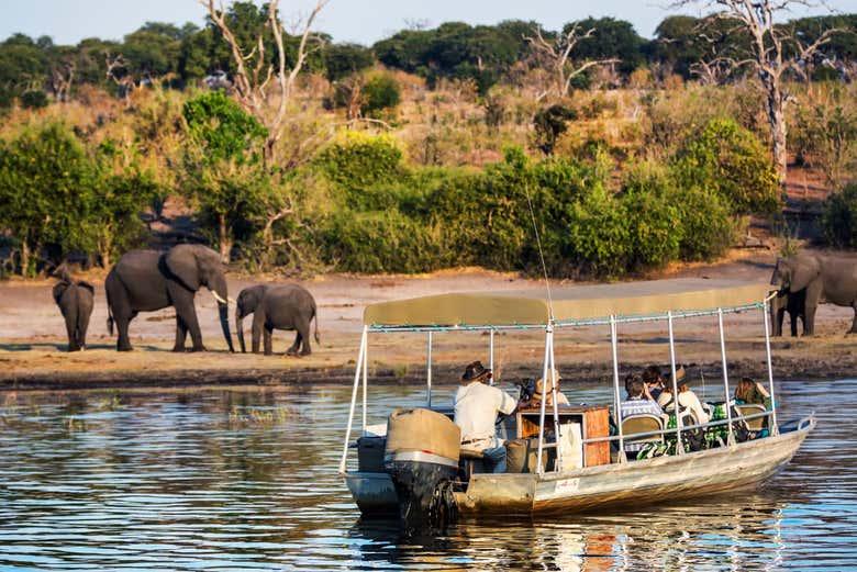 Chobe Day Trip Tour