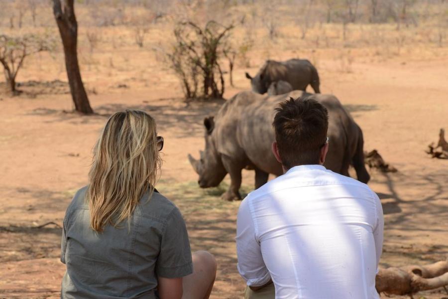 Game Drive