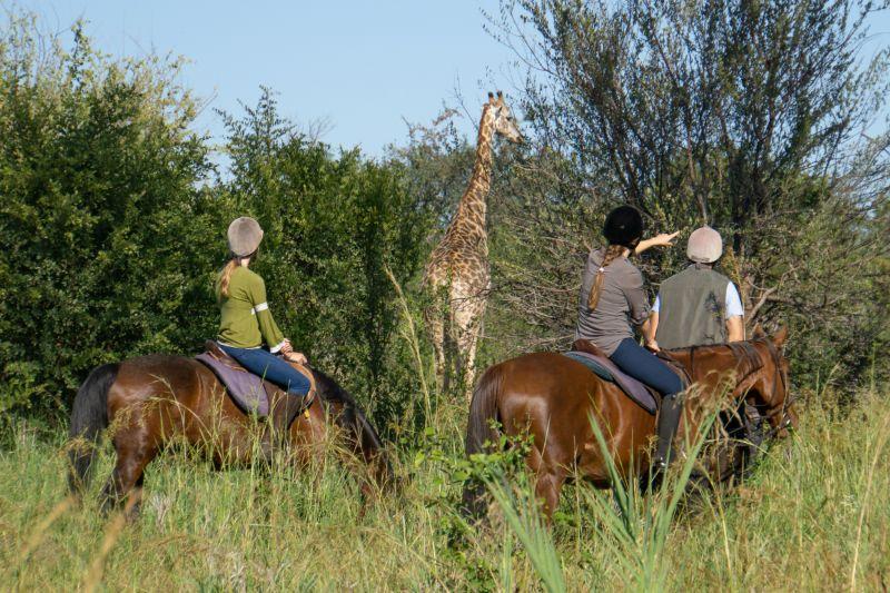 Horse Riding