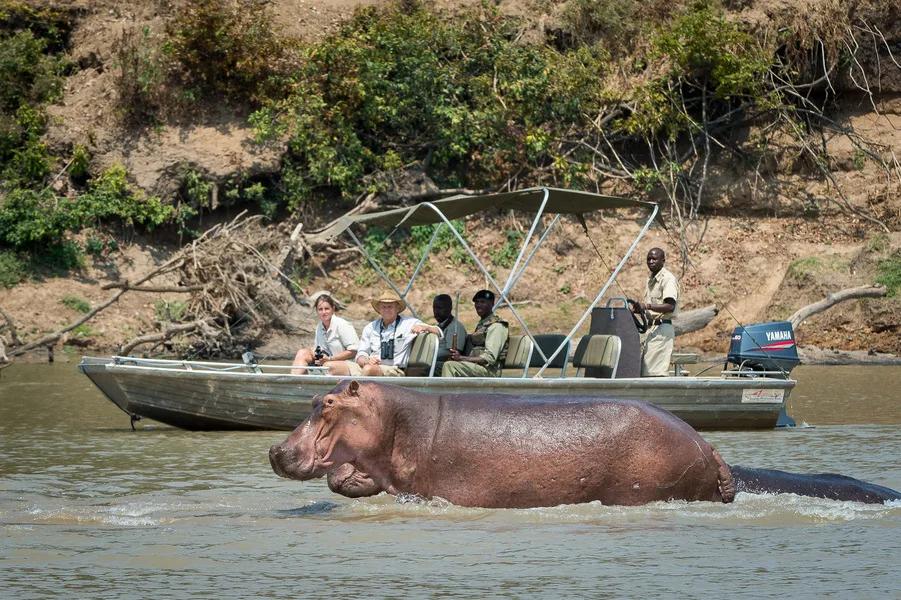 Victoria Falls River Safari